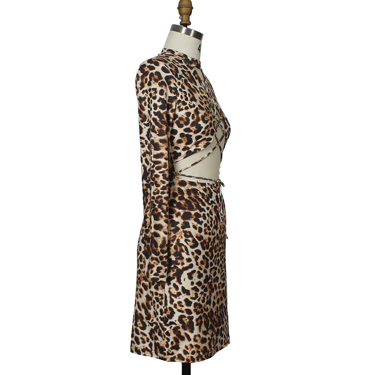 Leopard Print Lace-Up Dress Sexy & Stylish