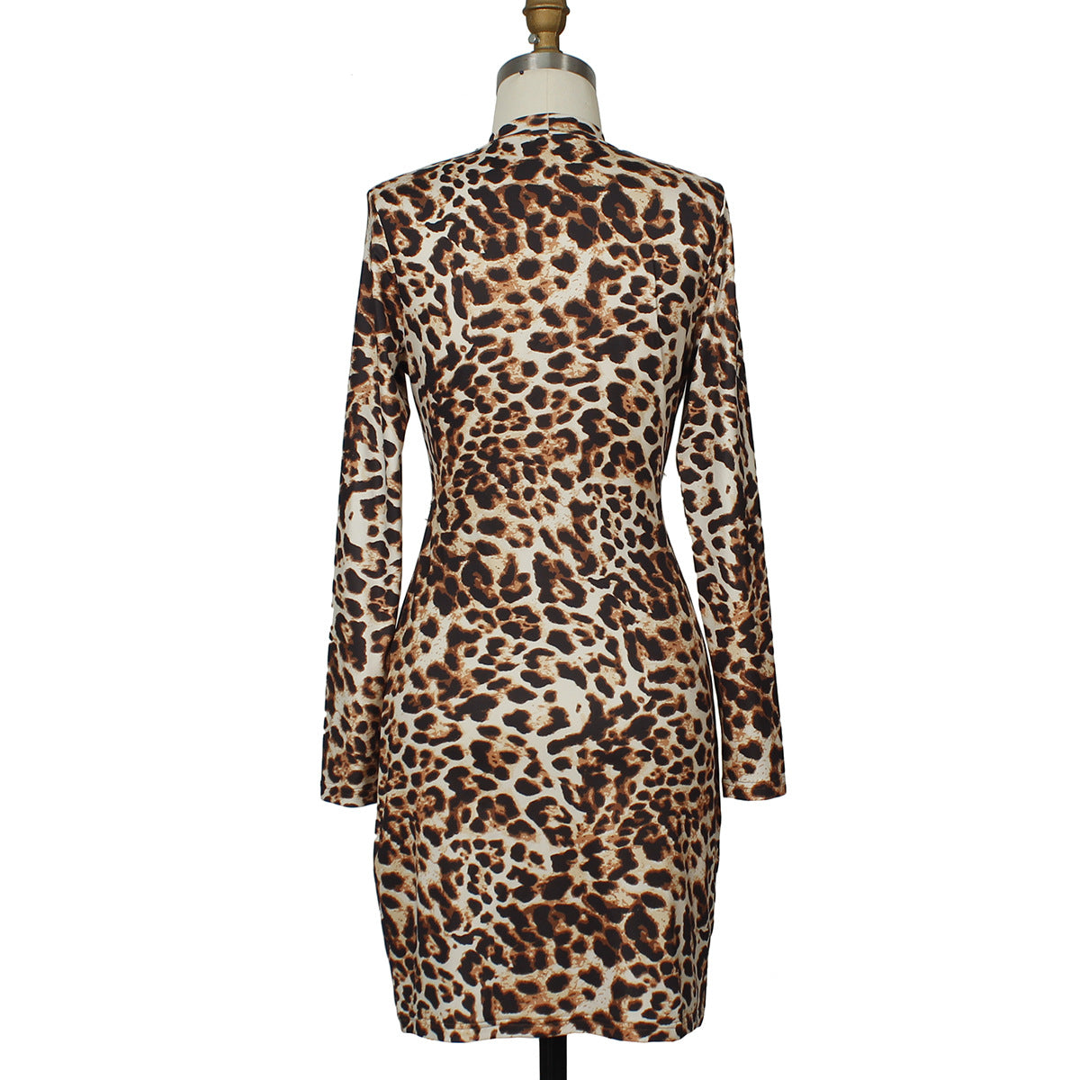 Leopard Print Lace-Up Dress Sexy & Stylish
