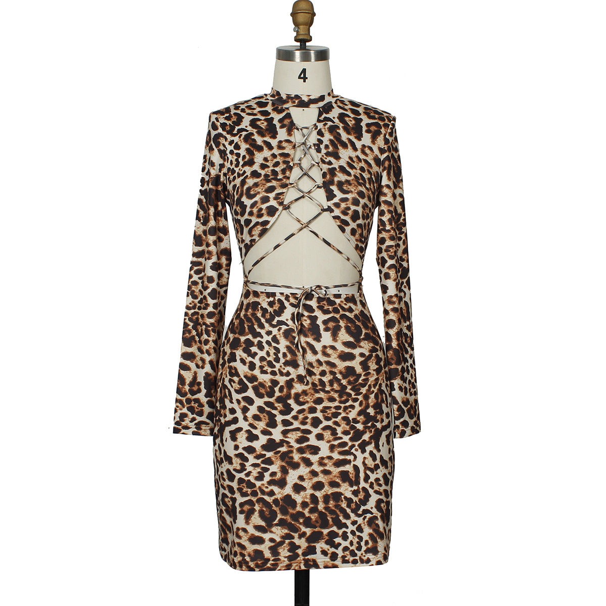 Leopard Print Lace-Up Dress Sexy & Stylish